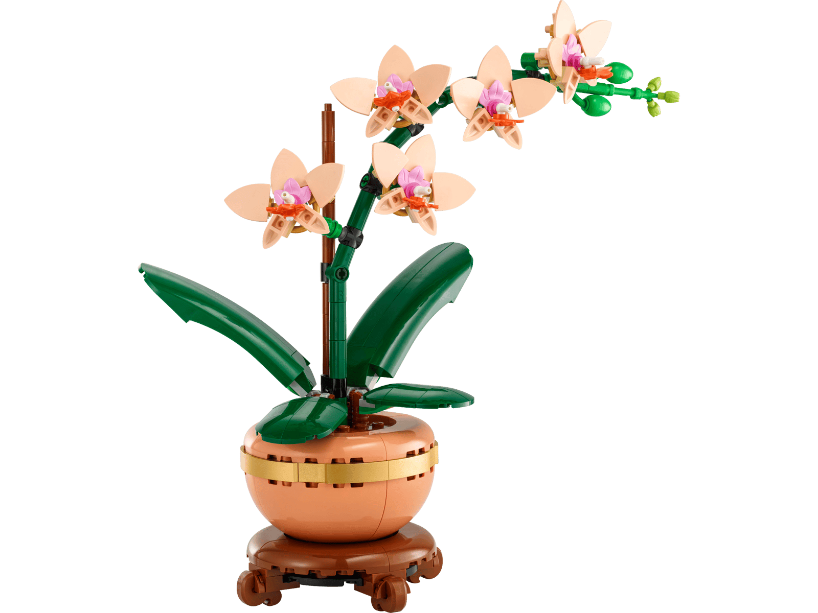Mini Orchid (10343)