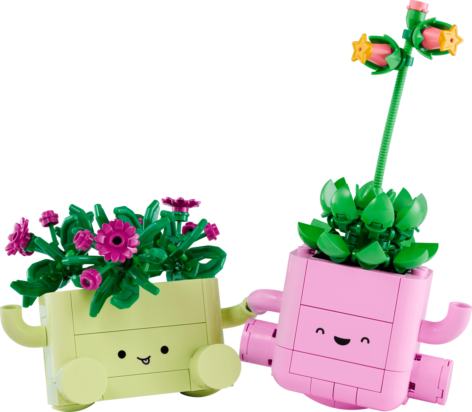 Rocking Plants (11506)